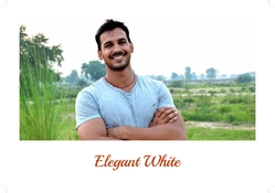 Elegant White