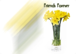 friendship-day-04