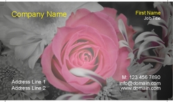 blooming-pink