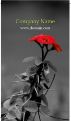 elegantly-grown