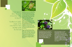 Brochure-2