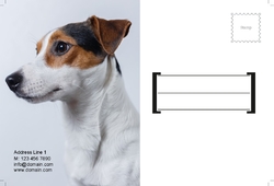 Animal&pets-company-postcard-16