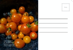 agriculture-postcard-4