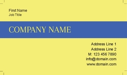 Basic-Business-card-993