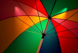 Rainy Day