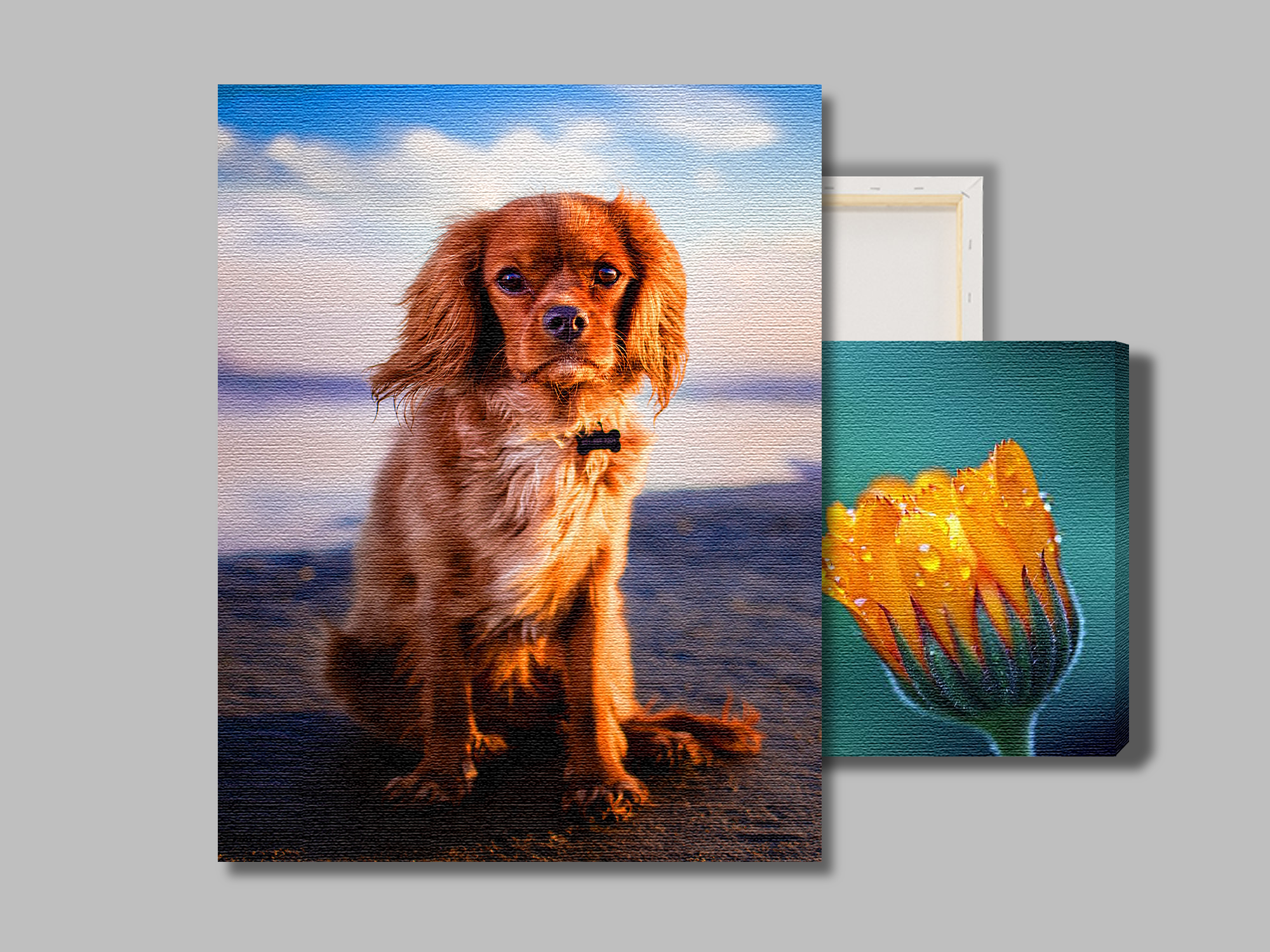 Canvas Prints